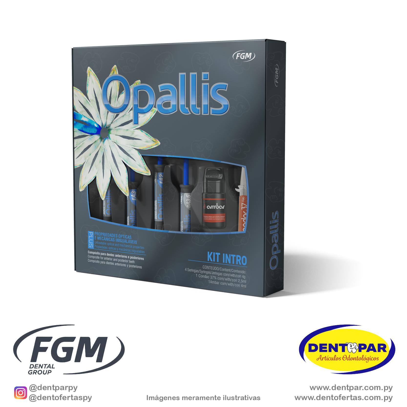 Imagen del producto Opallis Kit Básico Intro 