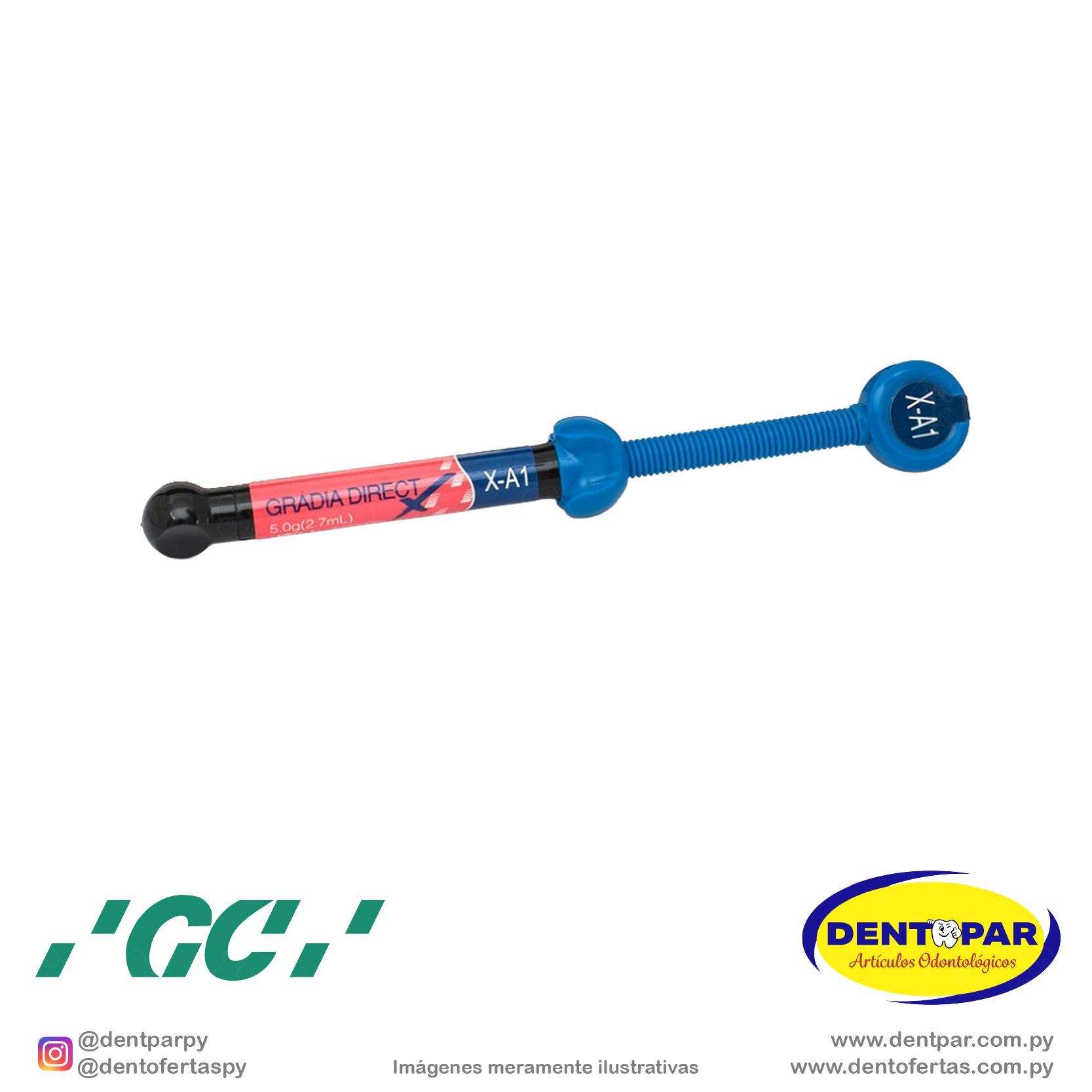 Imagen del producto Gradia Direct X #A1 5g