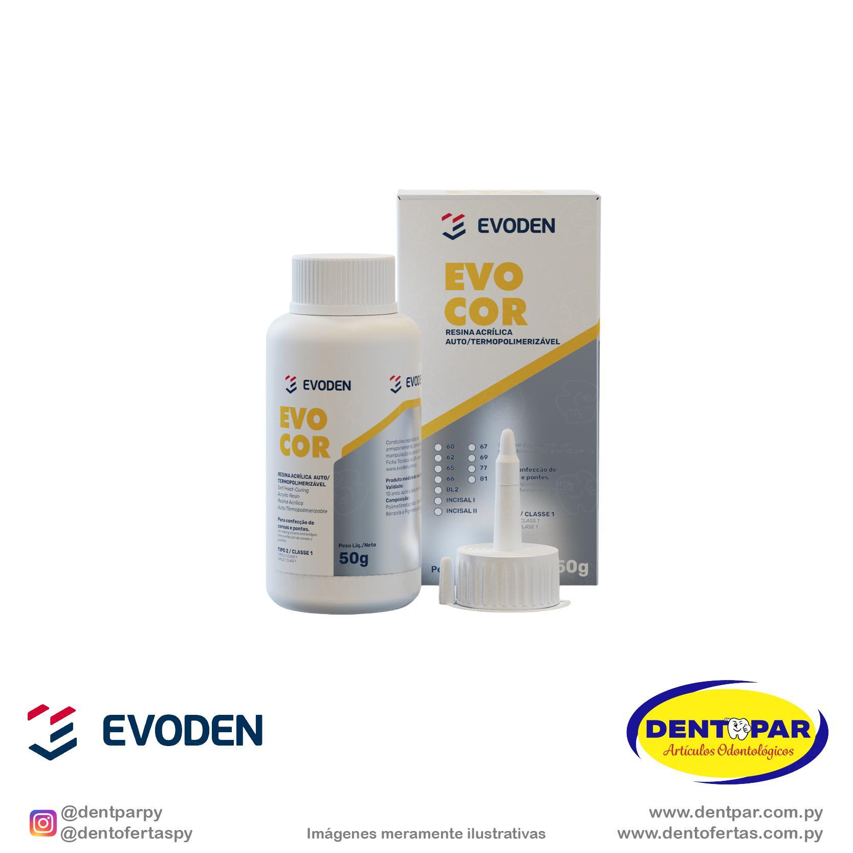 Imagen del producto Resina Acrílica Bivalente Evocor 50gr - 60