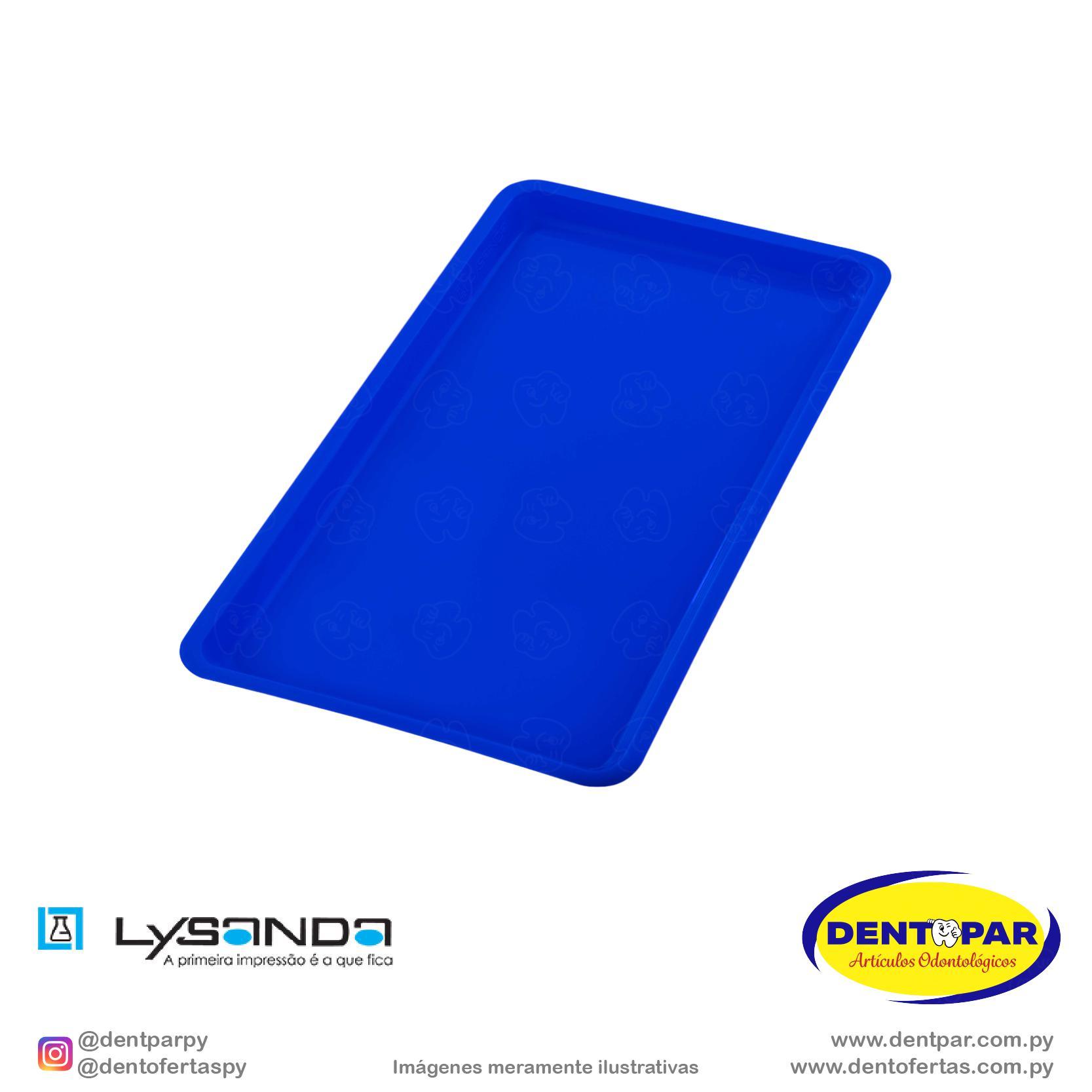 Imagen del producto Bandeja Grande Azul Oscuro