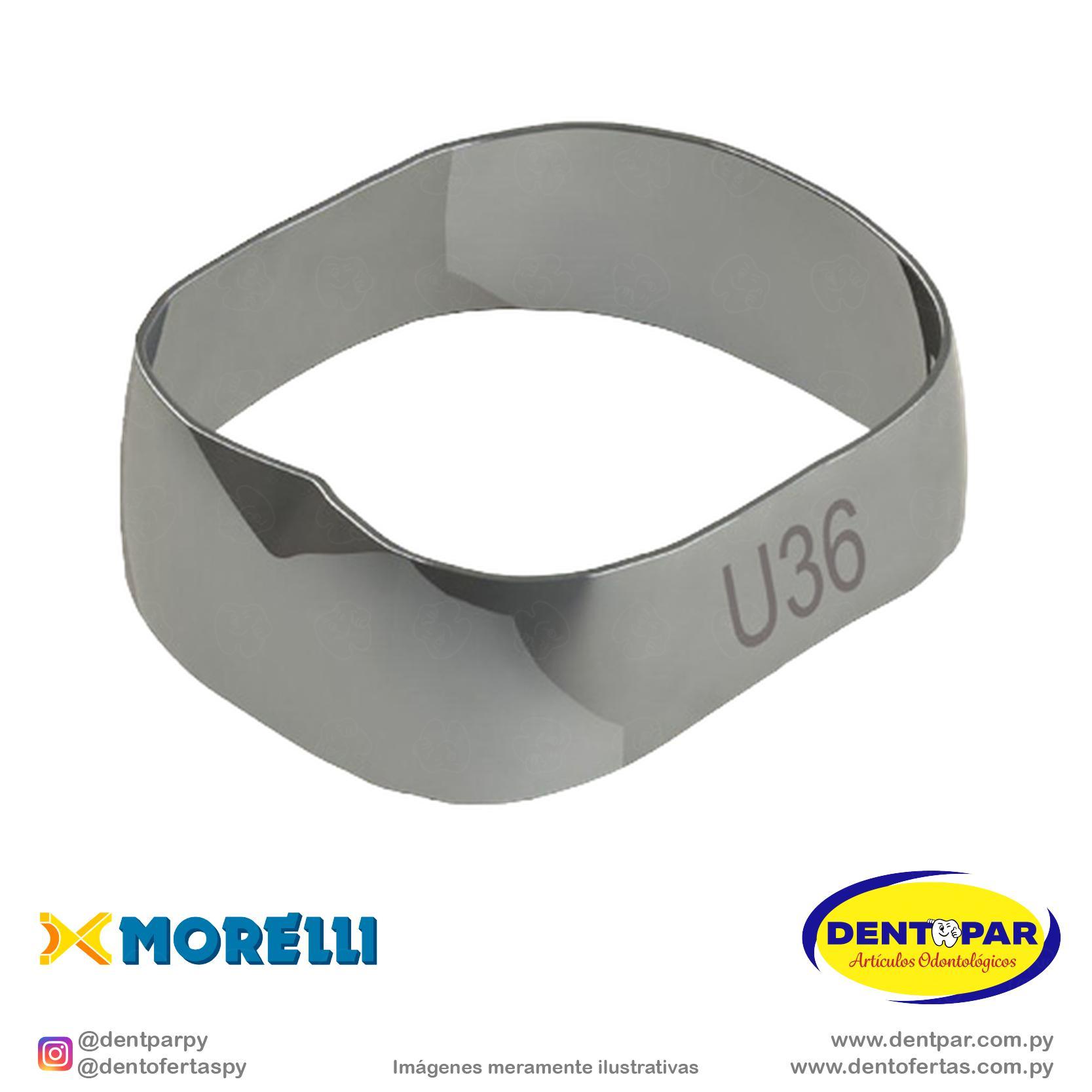 Imagen del producto Banda Unv 1y2 Mol S/D y S/I #36
