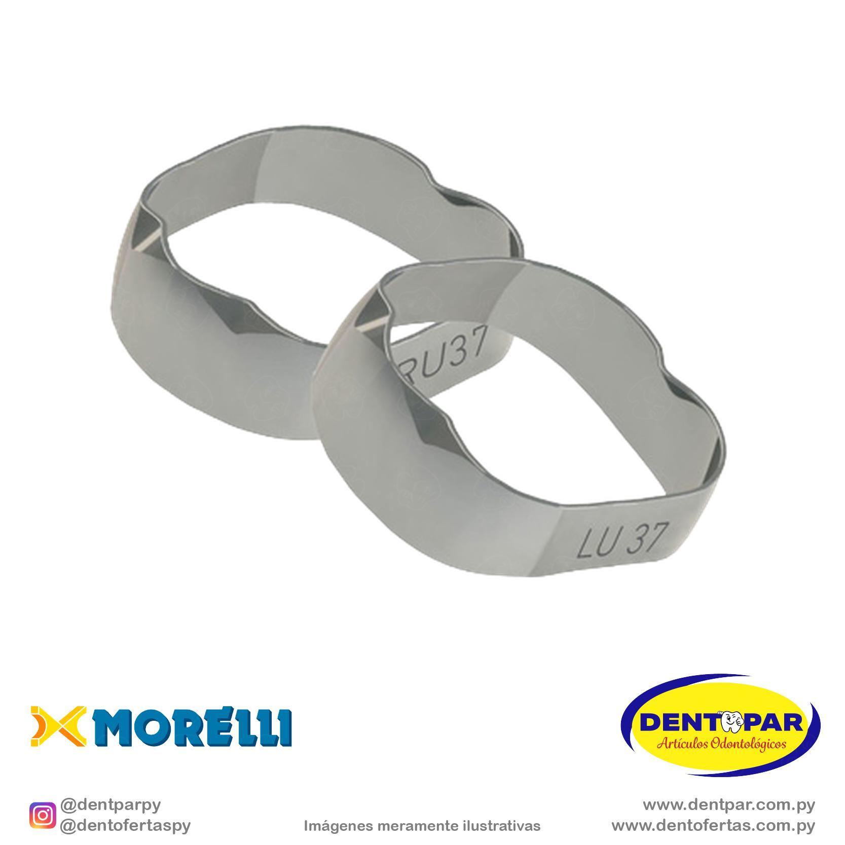 Imagen del producto Banda Anat 1y2 Mol S/D YS/I #37