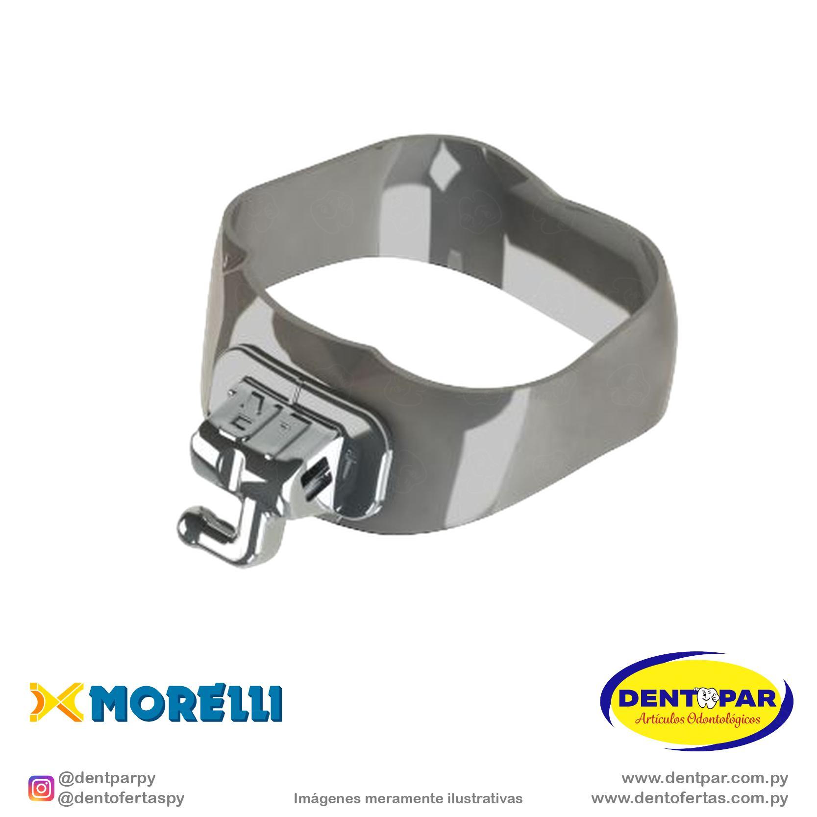 Imagen del producto Banda PS 1y2 Mol I/D y I/I #31 Tub simple