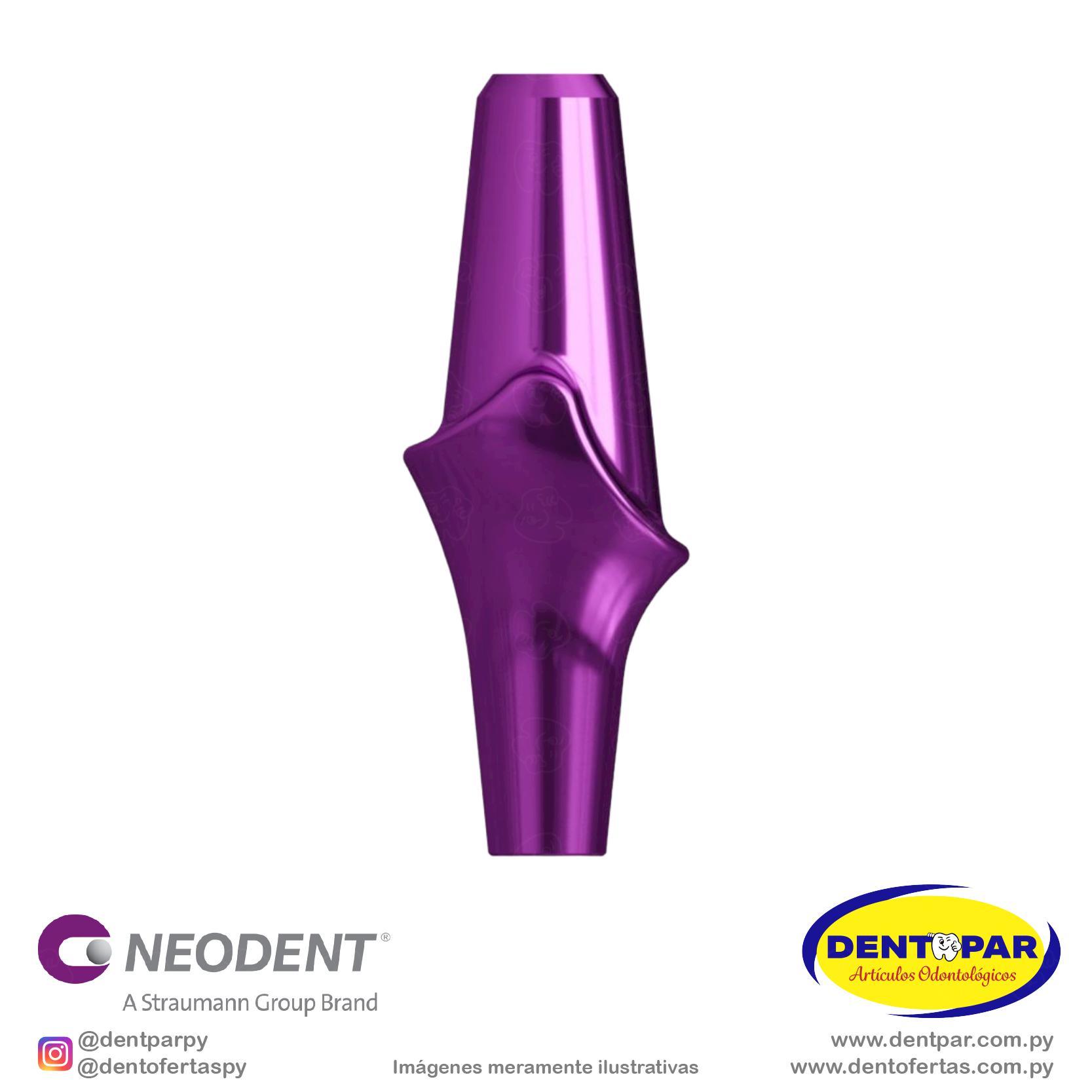 Imagen del producto Muñón anatómico CM 2.5mm P/ Selec Protes