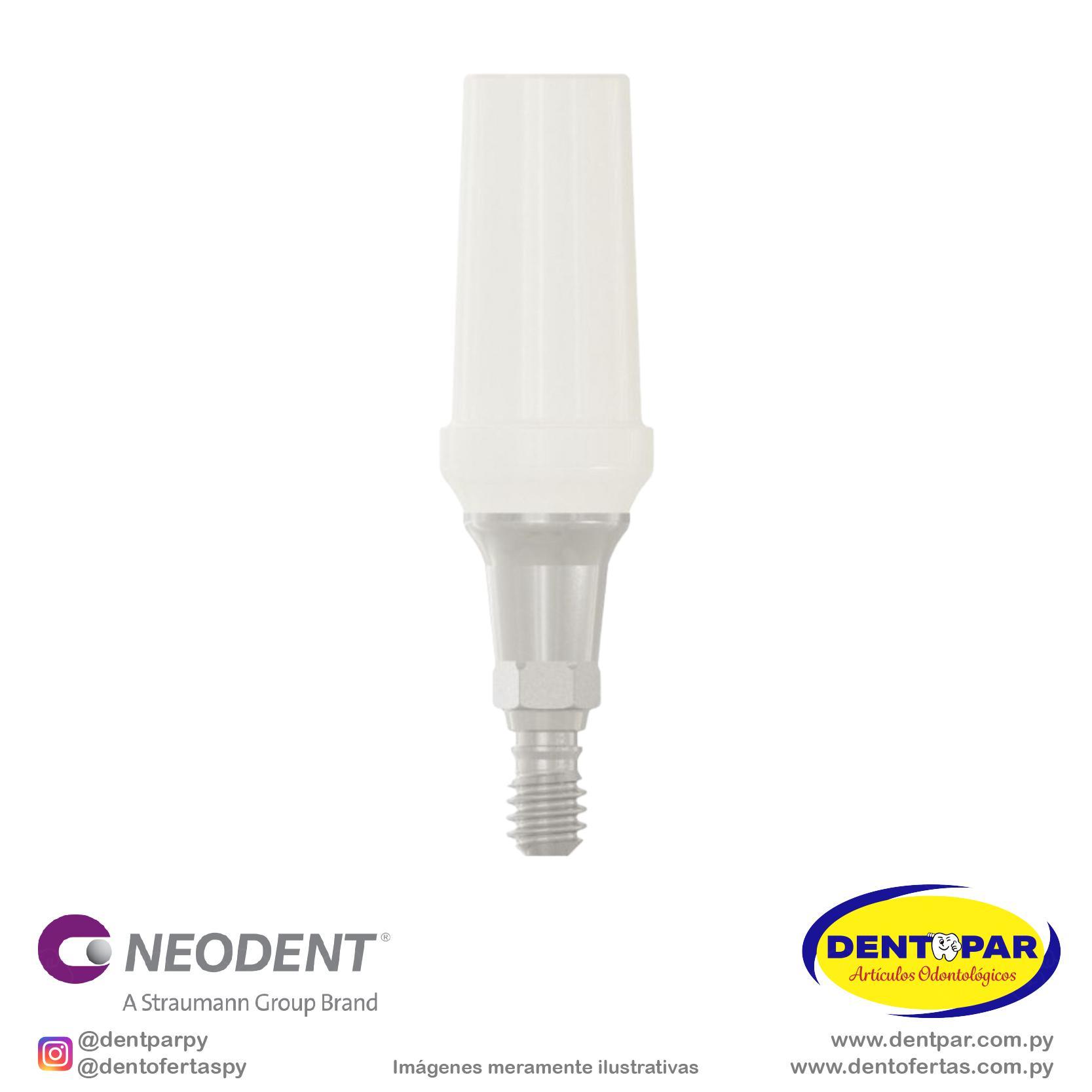 Imagen del producto Muñón Pro PEEK 4.5×1.5mm