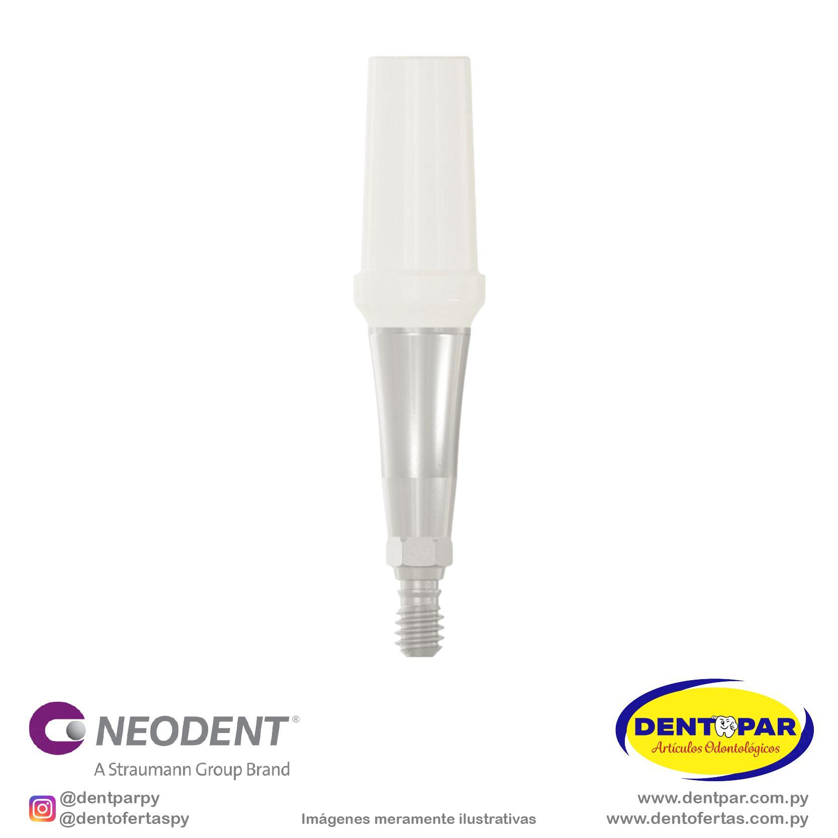 Imagen del producto Muñón Pro PEEK 4.5×5.5mm