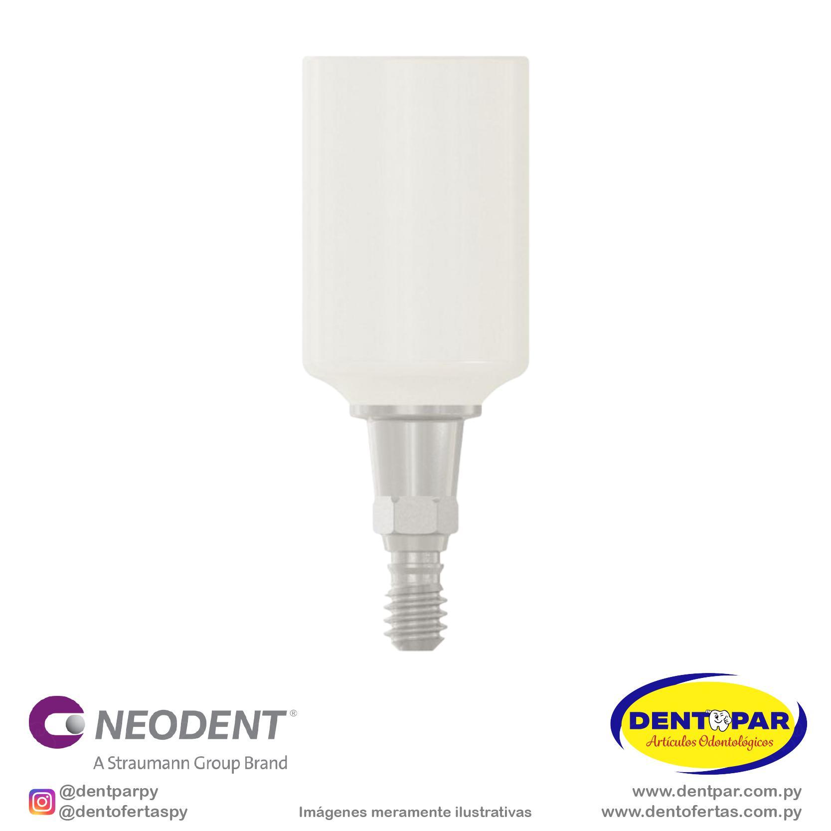 Imagen del producto Muñón Pro PEEK 6.0×0.8mm
