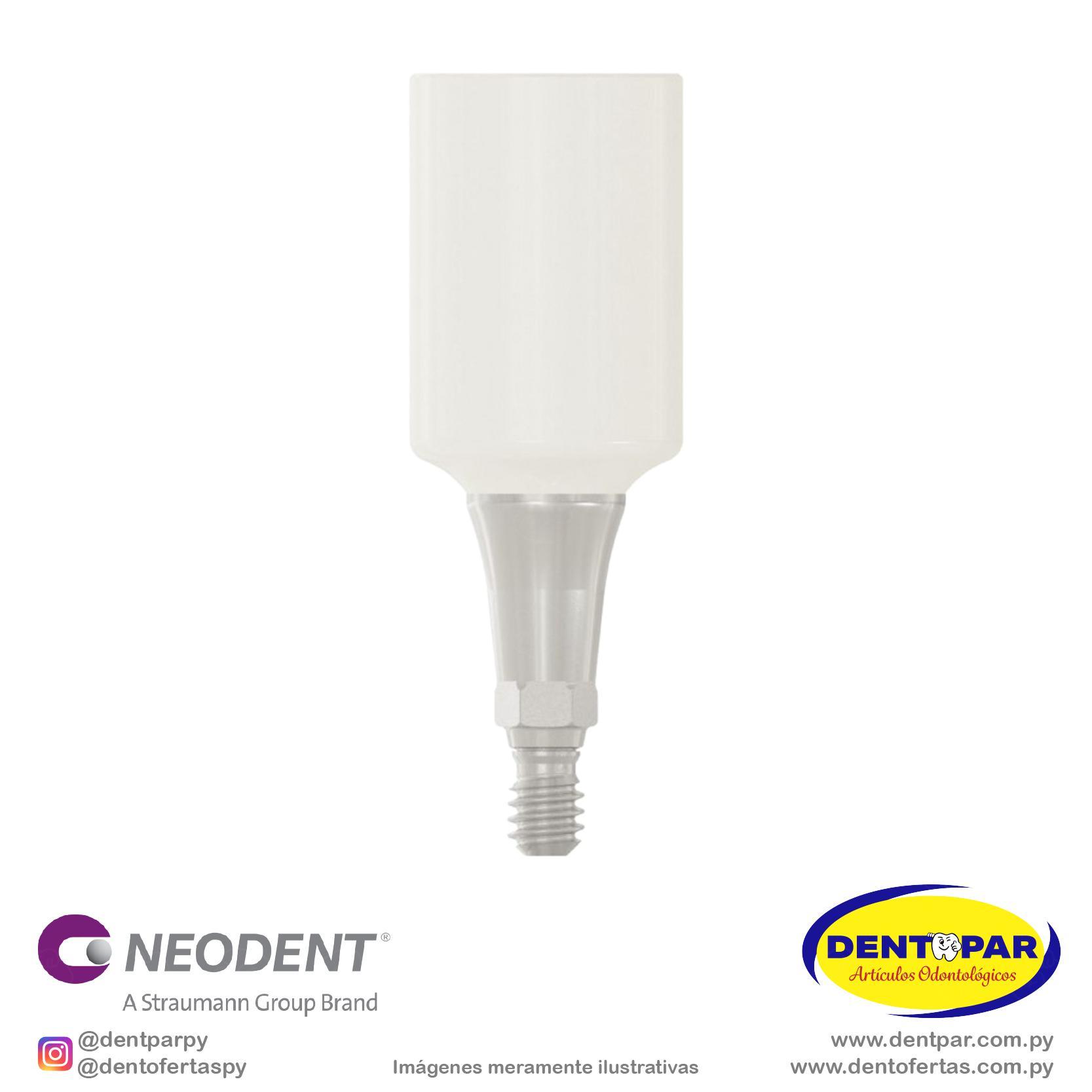 Imagen del producto Muñón Pro PEEK 6.0×2.5mm