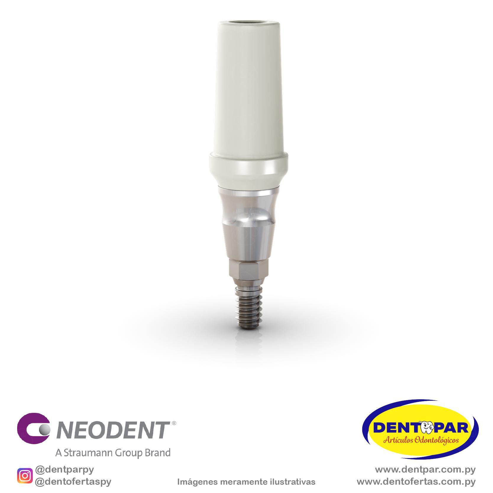 Imagen del producto Muñón Pro PEEK GM 4.5×2.5mm