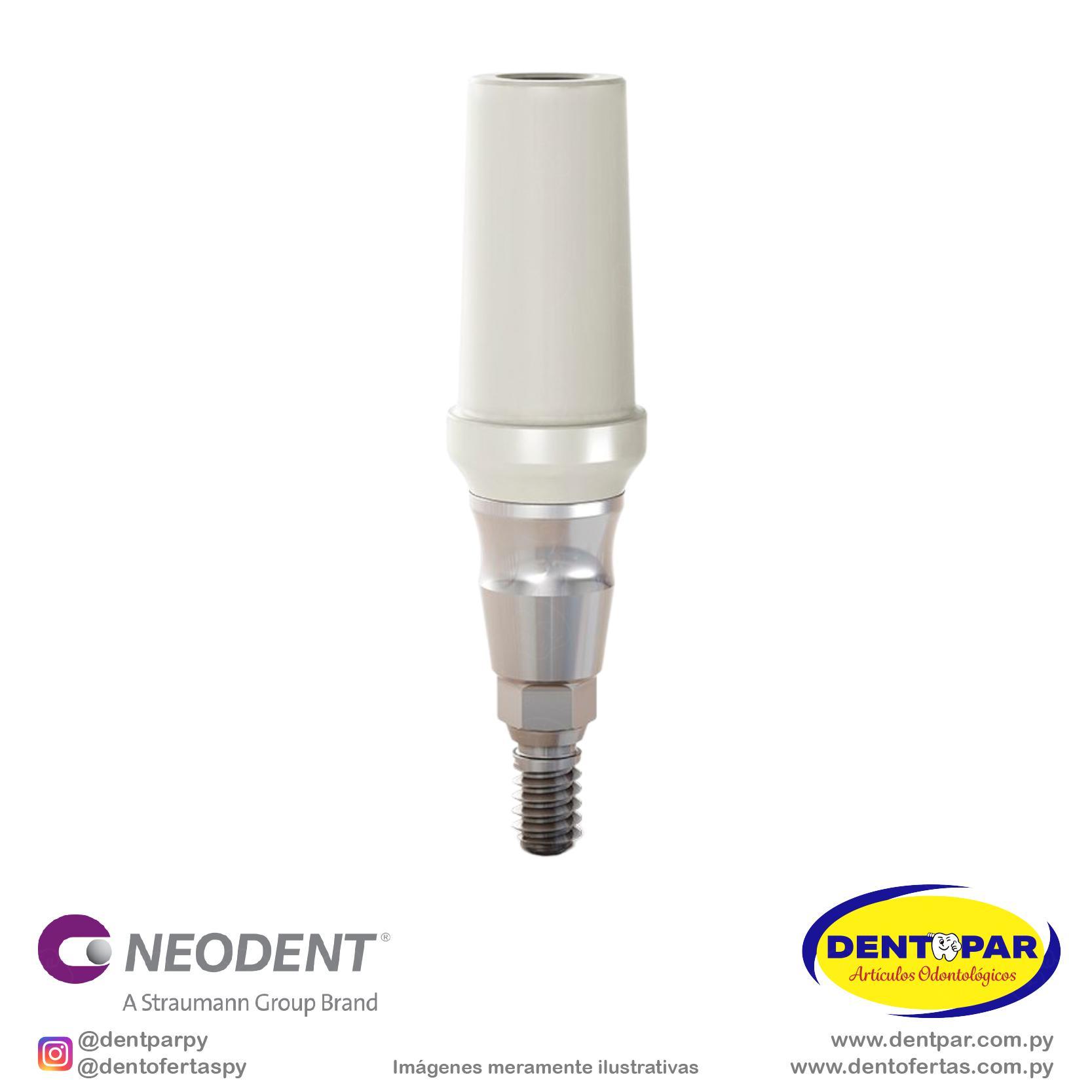Imagen del producto Muñón Pro PEEK GM 4.5×5.5mm